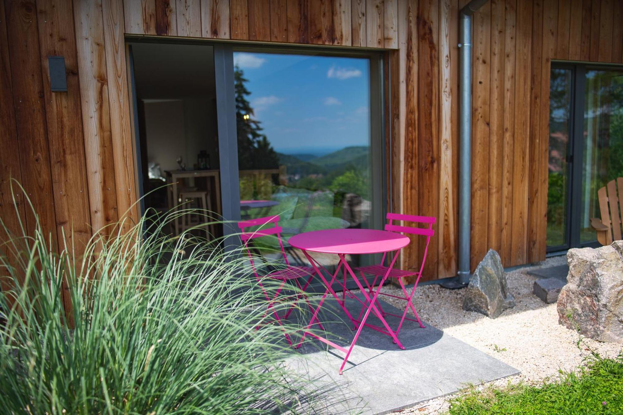 Le Holzberg Et Ses Suites Osenbach Екстериор снимка