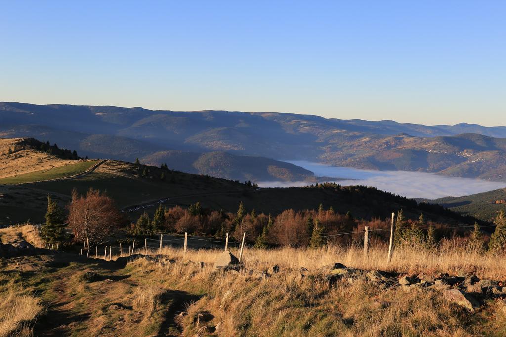 Le Holzberg Et Ses Suites Osenbach Екстериор снимка