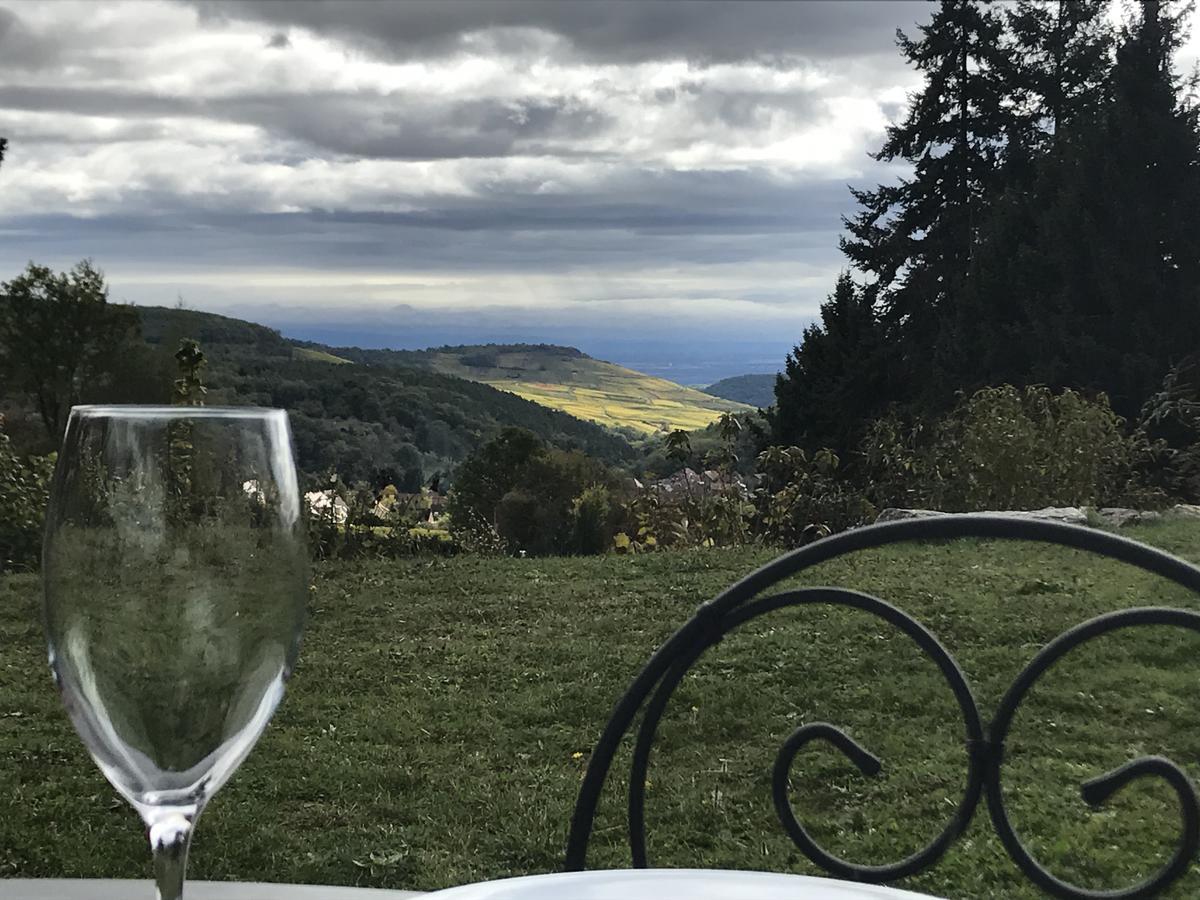 Le Holzberg Et Ses Suites Osenbach Екстериор снимка