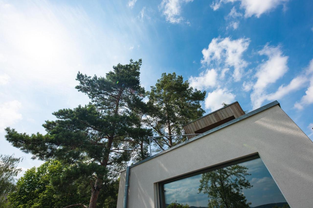 Le Holzberg Et Ses Suites Osenbach Екстериор снимка